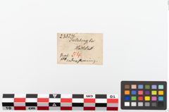 Etiketten zu Bronzering (NHMW-PRAE-023824)